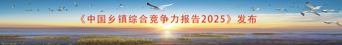 首页公告新闻